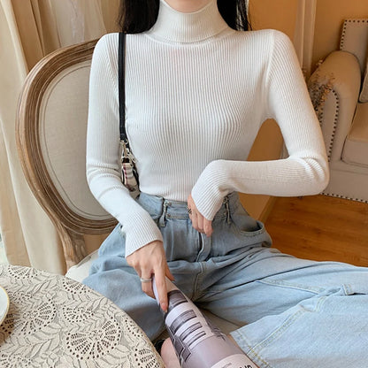 Autumn Winter Women Long Sleeve Knitted Foldover Turtleneck Ribbed Pull Sweater Soft Warm Femme Jumper Pullover Clothes