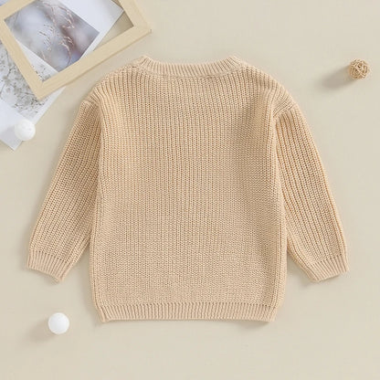 2025 Lioraitiin 12M-5Y Winter Newborn Kids Boys Sweaters Cotton Long Sleeve Letter Embroidery Pullover Loose Knitwear Tops