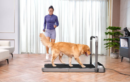 WalkingPad 12KM/H Folding Treadmill R2 Walking And Running 2 IN 1 Treadmill Home Gym Fitness Equipment, Under Desk Treadmill